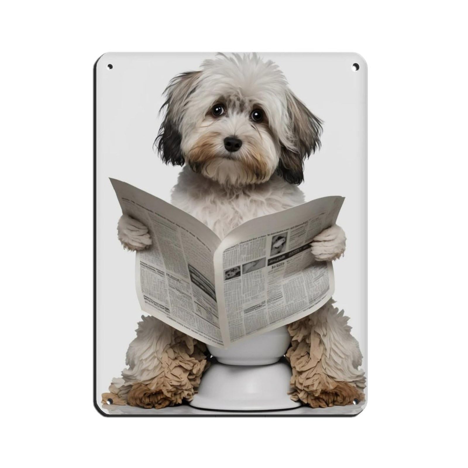 Lxwnze 30L X 40W Cm Havanese Sitting On The Toilet Reading A Newspaper Tin Sign Vintage Metal Pub Club Cafe Bar Home Wall Art Decoration Poster Retro 12X16inch(30X40cm)