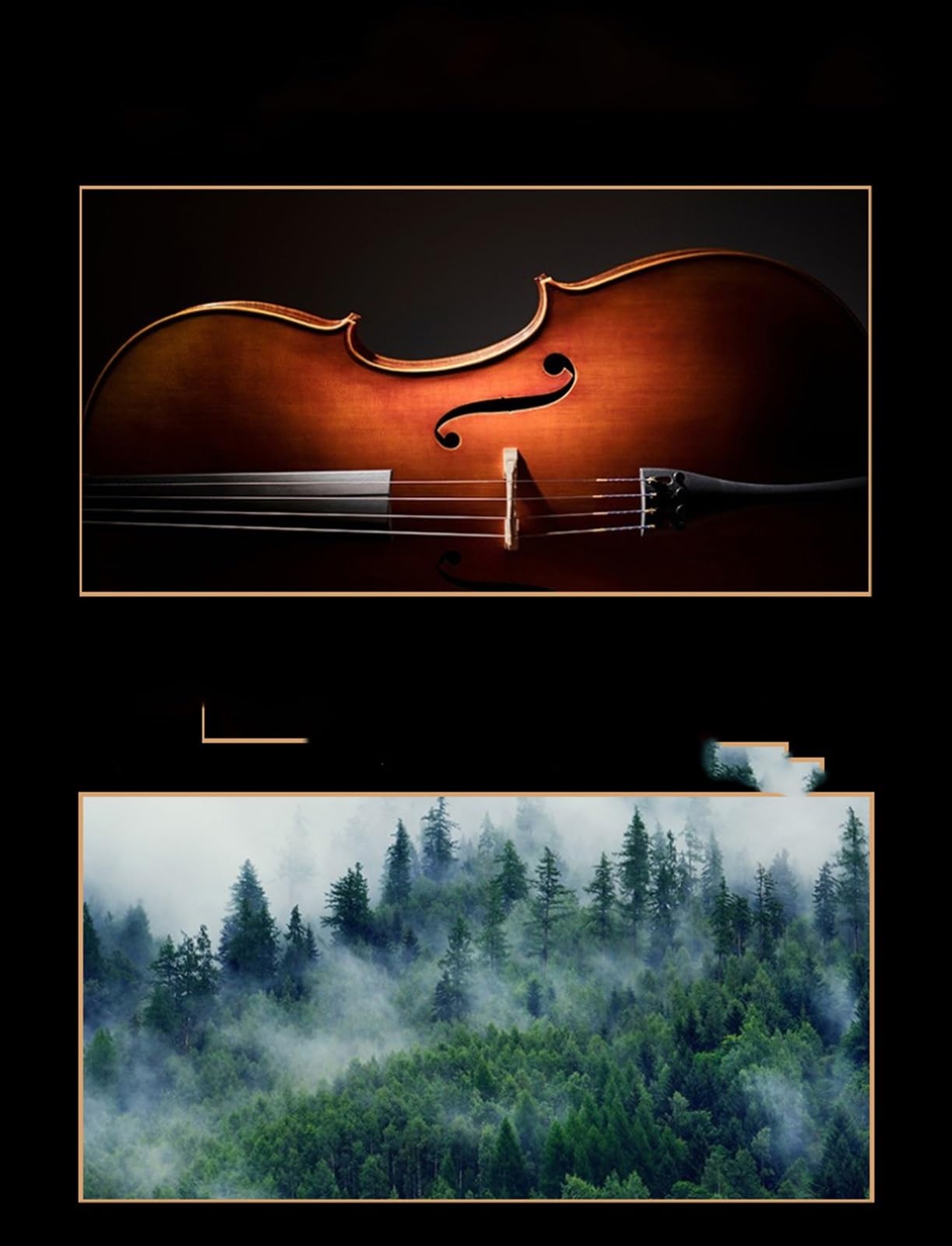 Geige Violine Für Erwachsene Violine Spielen Fichtenholz Decke Lindenholz Rückseite Und Seitenteile(1/4)