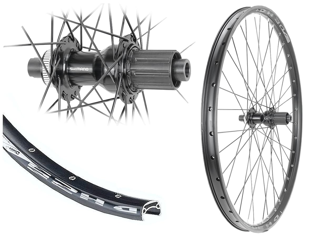 Hinterrad 28/29 Zoll Disc 25-622 Shimano Steckachse 12x142 Centerlock | Bärwinkels, Hohlkammer, TC500 Nabe schwarz, Industrielager