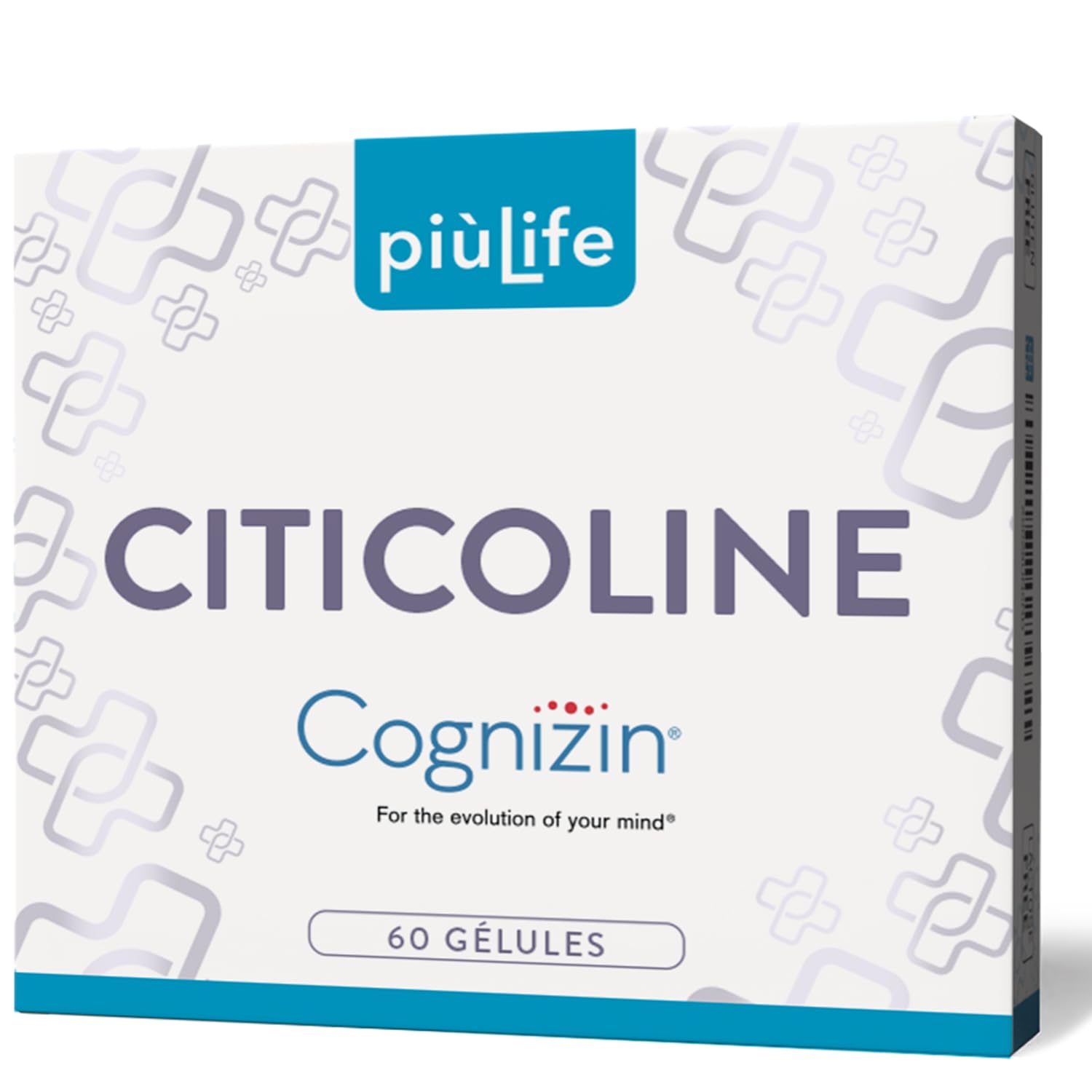 Citicoline Cognizin 500 mg PiùLife – Complément Alimentaire Memoire et Concentration – CDP Choline, Précurseur de Phosphatidylcholine et Acétylcholine – 2 Gélules par Jour, Sans Lactose, Sans Gluten