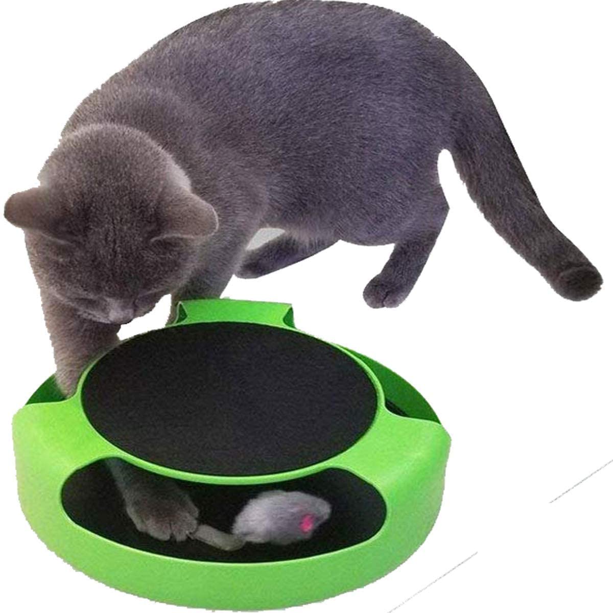 See full amazon price history chart for RvPaws Catch The Mouse Cat Scratcher Interactive Toy with a Running Mice and a Scratching Pad for Cats & Kittens (Green, Catch The Mouse) RvPaws Catch The Mouse Cat Scratcher Interactive Toy with a Running Mice and a Scratching Pad for Cats & Kittens (Green, Catch The Mouse) (B09J28H1TX) Amazon Price History, Amazon Price Tracker