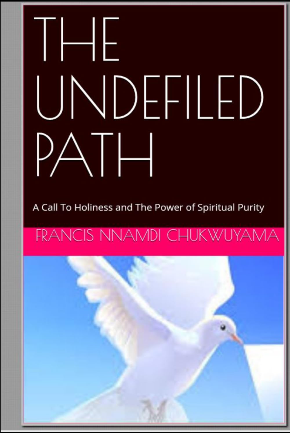 THE UNDEFILED PATH: A Call To Holiness and The Power of Spiritual Purity