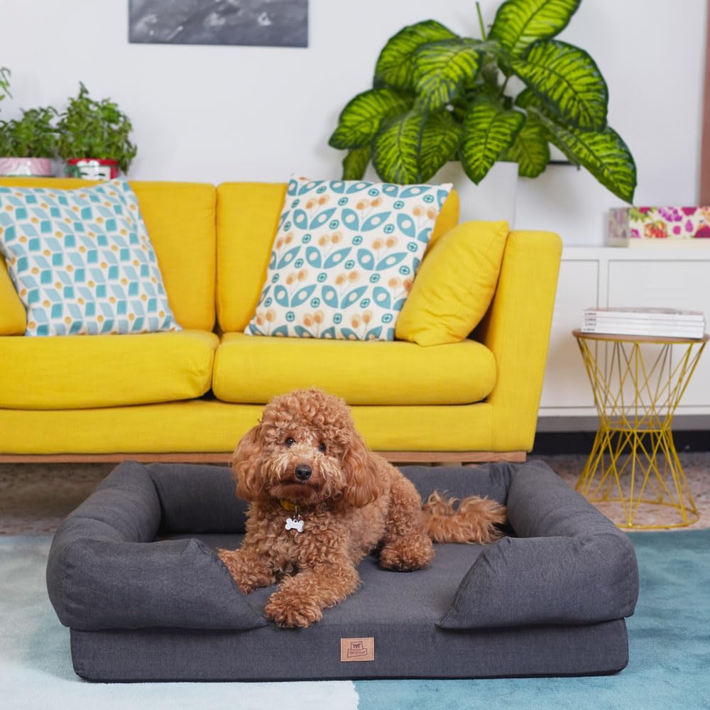Ferplast Cuccia Cane e Gatto in Memory Foam, Cuscino Ergonomico e Ortopedico MEMOR-ONE, Sfoderabile e Lavabile in Lavatrice a 30°, 64 x 52 x h 16,5 cm, Grigio