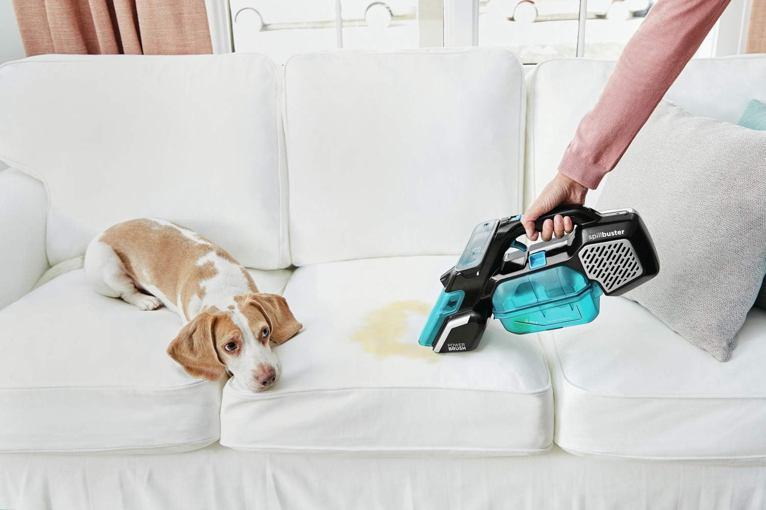 BLACK+DECKER spillbuster Portable Carpet Cleaner, Cordless Spill and Spot (BHSB320JP) : Health & Household