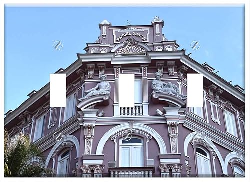Switch Plate Triple Toggle - Colonial Building Manizales Caldas Colombia