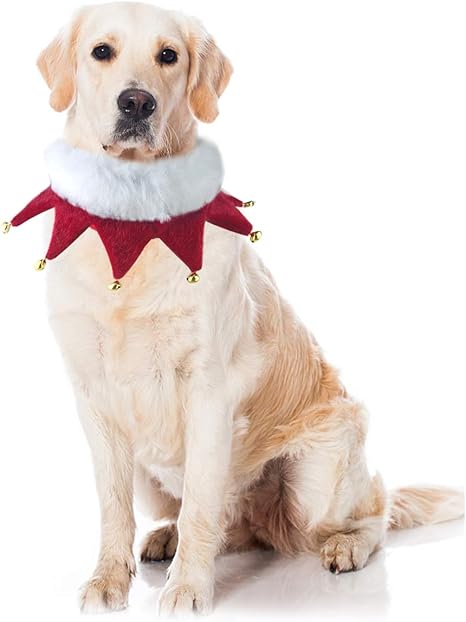 Dog collar costume Clearance