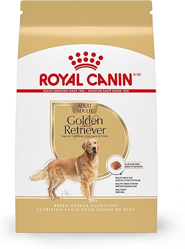 Royal Canin Golden Retriever - Alimento seco para perros adultos, bolsa de 17 libras