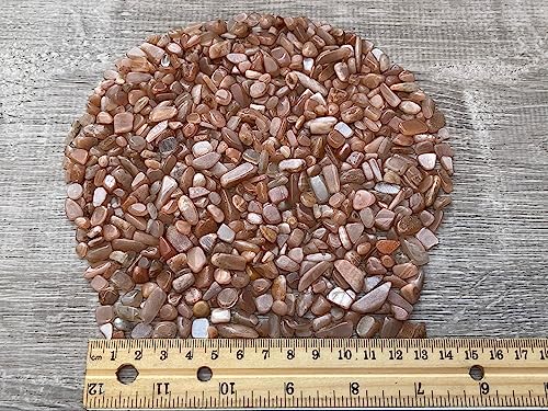 Image of GAF TREASURES 2 oz Lot Natural Semi Tumbled Gemstone Chips, Crushed Mini Crystals, Undrilled Crystal Chips (Peach Moonstone)