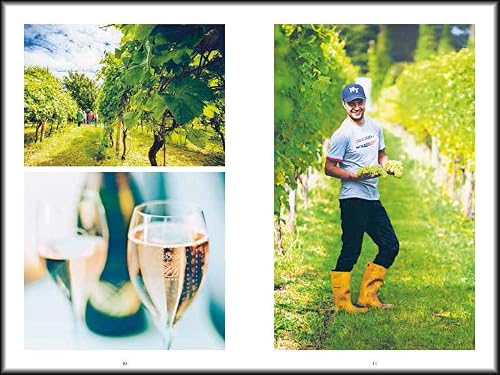 Sparkling Wine: The Vineyards Of England And Wales #TOP6