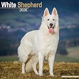 berger blanc suisse a vendre bretagne calendrier en 5 langues : Français, Anglais, Allemand, Italien et Espagnol.