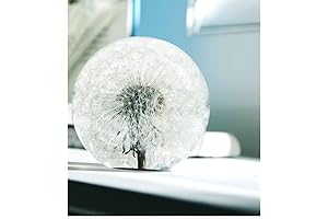 flower in glass ball