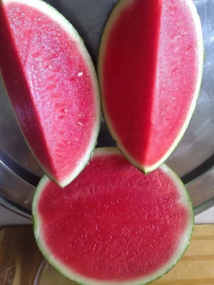 SWEET JUICY YELLOW WATERMELON Fruit Plant Seeds80 Seeds Per Packet (B0BXLZ5V23) Amazon Price History, Amazon Price Tracker