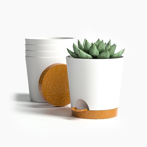 Macetas pequeñas de 4 pulgadas para plantas de interior y exterior, paquete de 5 macetas con agujeros de drenaje y bandeja, macetas pequeñas de