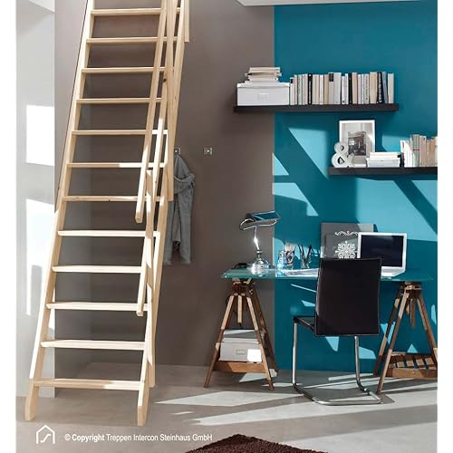 DOLLE Treppe: Amazon.de