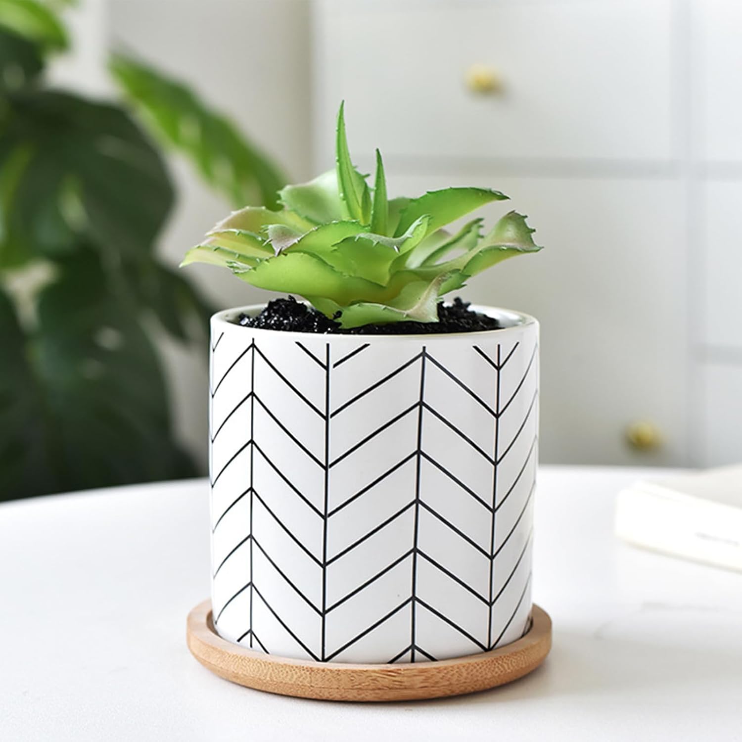 Succulent Pots, 3.5 Inch Small Succulent Planters with Drainage for Plants Live, Hand-Painted Ceramic Pot Flower Pots Bonsai Pots with Bamboo Tray, Unique Gifts for Women/Men, 4 Pack (Geometry)