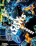 City Lights: Metropolen bei Nacht
