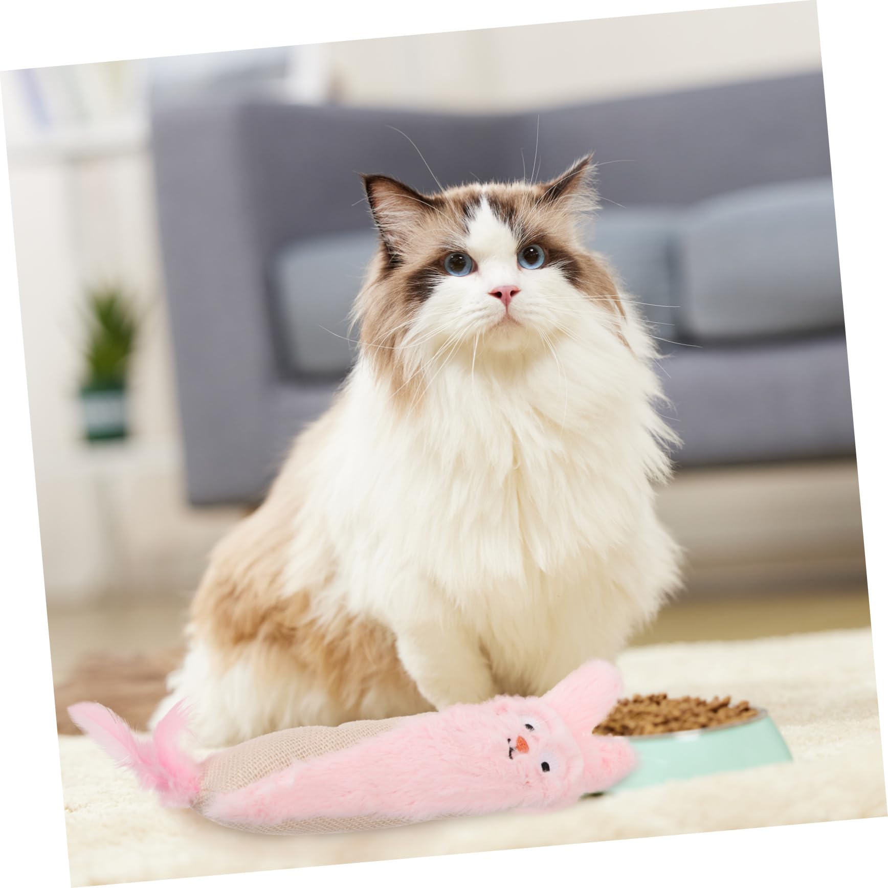 BESPORTBLE Jouet à Herbe à Chat pour Chat Peluche Forme De Dessin Animé Remplie Papier Froissé Jouet à Mâcher Interactif Intérieur