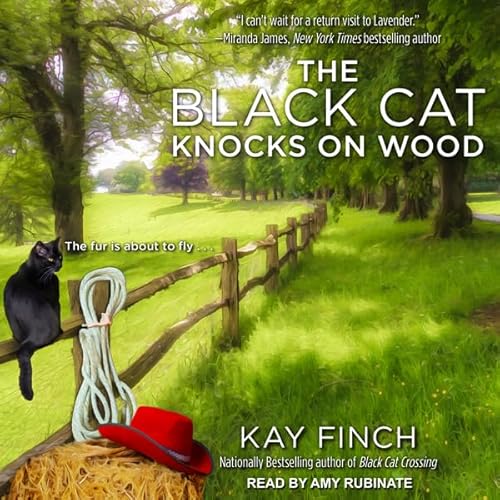 The Black Cat Knocks on Wood Audiolivro Por Kay Finch capa