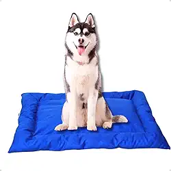 Cama Caminha Colchonete Azul Grande 90x70cm para Cachorro e Gato de Suede Lavável Almofada Pet Macia Confortável