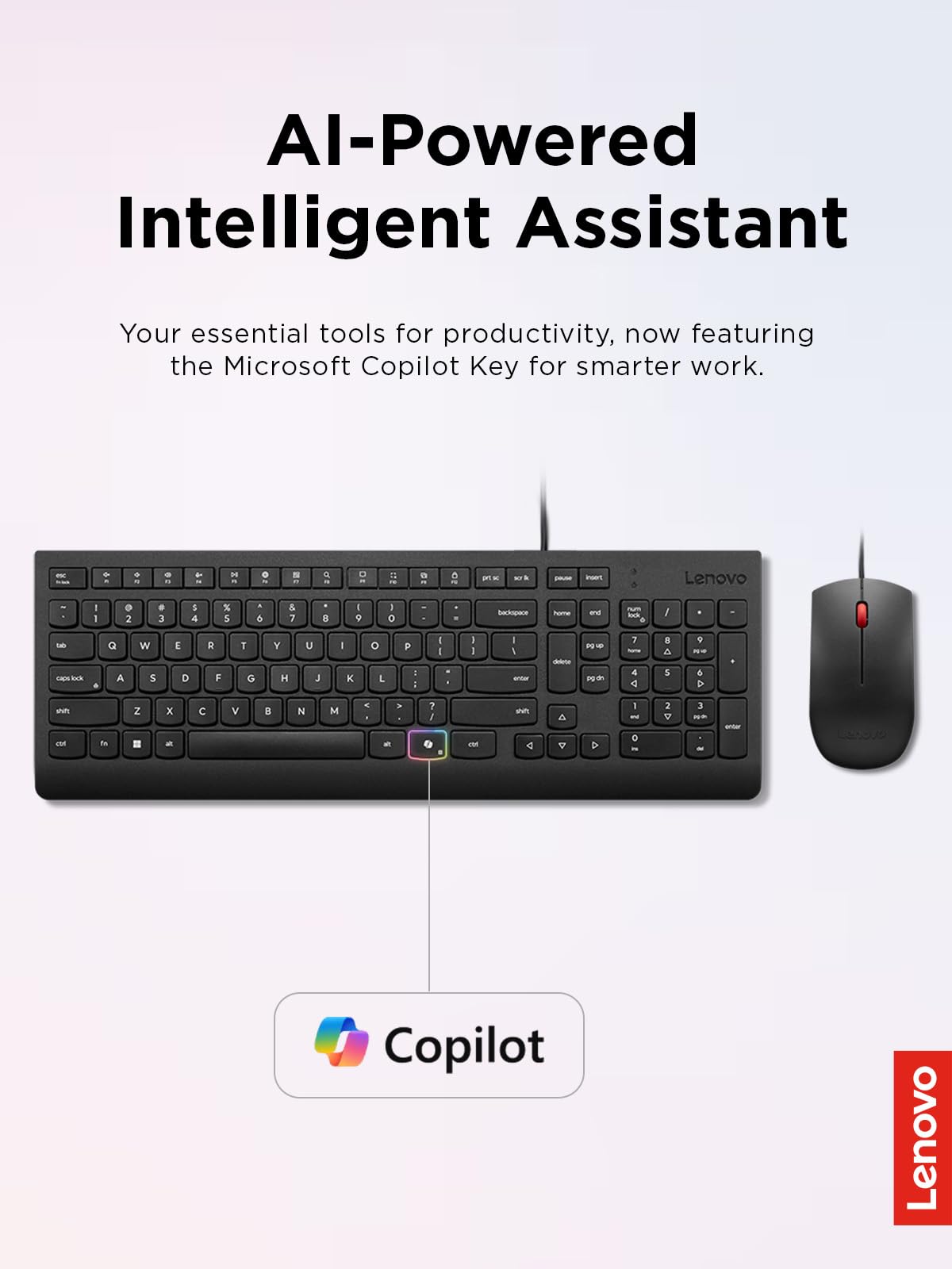 Lenovo Essential - Combo de teclado y mouse con cable, inglés de EE. UU., pies ajustables, teclas resistentes a derrames, mouse óptico ambidiestro de tamaño completo, 1600 DPI, negro | Teclado de tamaño completo con mouse y conexión USB para escribir, pro