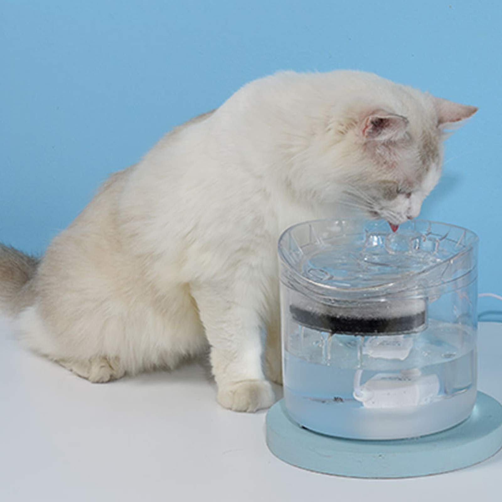 Fontana d'Acqua per Cane Gatto, Acqua Filtrata per Animali Domestici Sani da Bere, Fontanella Automatica Trasparente, Erogatore d'Acqua per Cani Elettrico Ultra Silenzioso