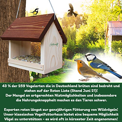 Vogelfutterhaus Nabu Die 15 besten Produkte im Vergleich