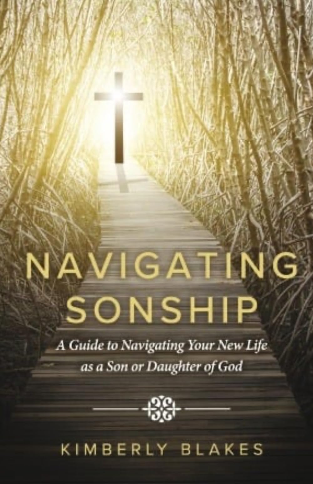 Navigating Sonship: A Guide to Navigating Your New Life as a Son or Daughter of God.