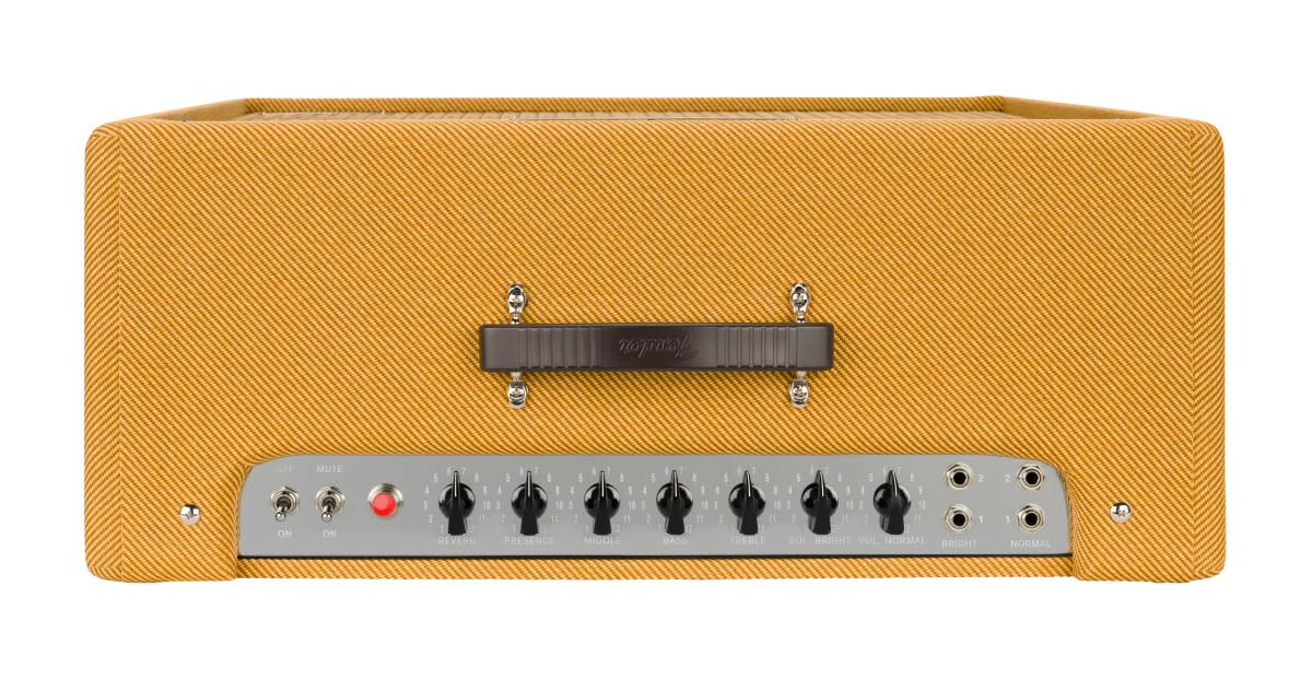 Amazon | Fender/Tone Master 