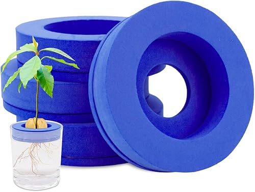 NEOBEAUTY Kit de cultivo de árbol de aguacate, paquete de 4, hueco flotante no se hunde, regalos de cultivo de semillas de aguacate para mujeres,