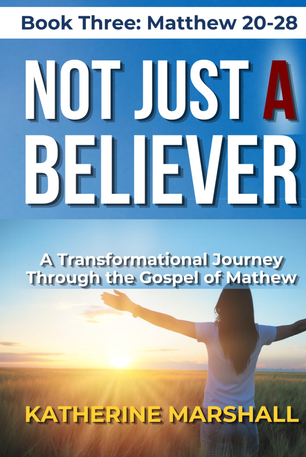 Not Just A Believer: A Transformational Journey Through the Gospel of Matthew Book Three