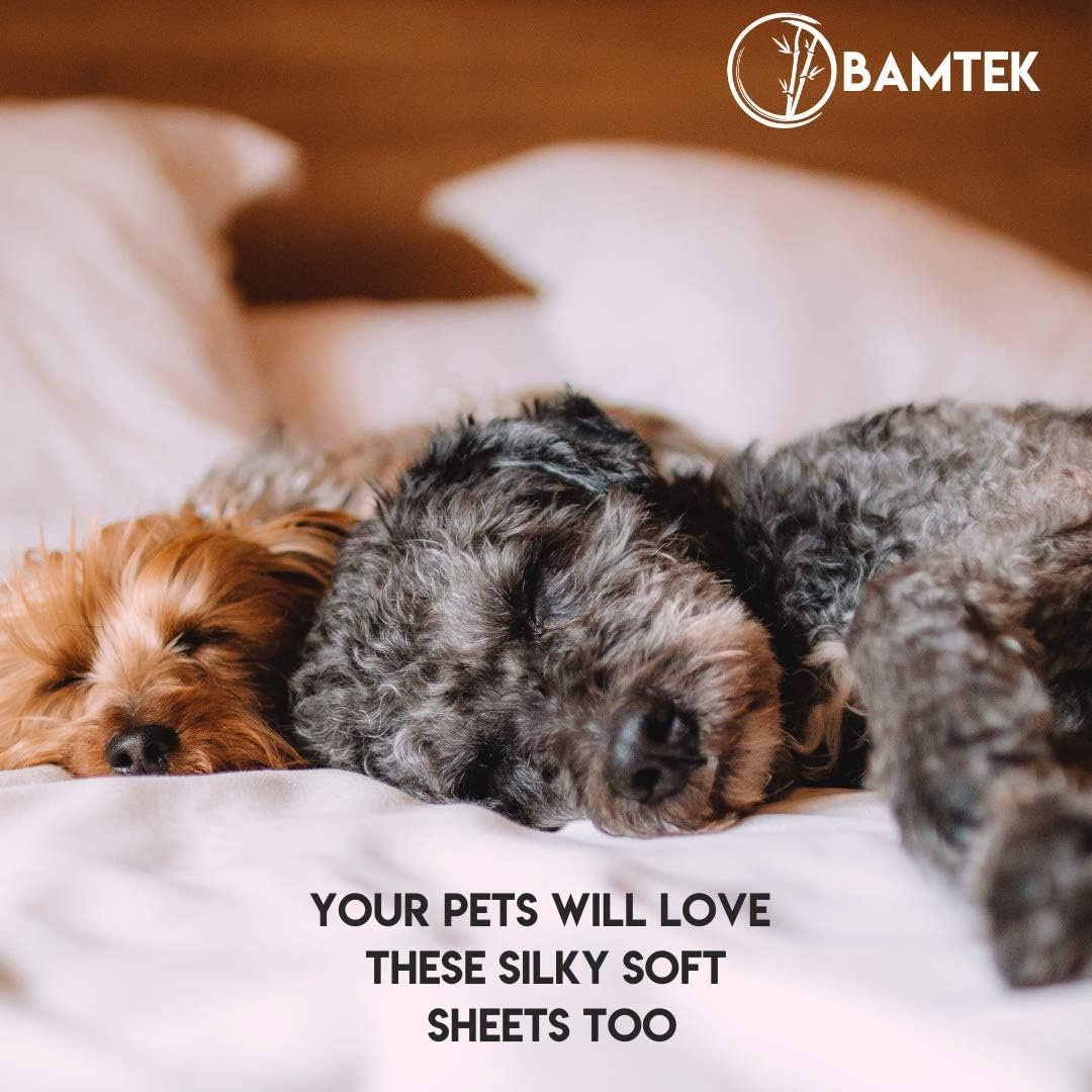 Limited Stock Bamtek 100% Bamboo Sheets Queen Size - Super Soft & Breathable - Cool Sheets for Hot Sleepers - 4 Piece Set - White Best Quality 🔥 Bamtek 100% Bamboo Sheets Queen Size - Super Soft & Breathable - Cool Sheets for Hot Sleepers - 4 Piece Set - White
