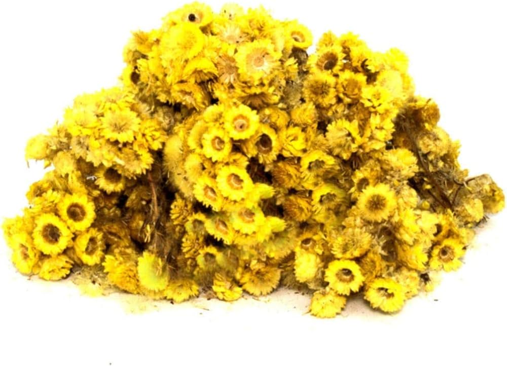 Altınotu Altınbaşak Otu 250gr : Amazon.com.tr: Gıda Ürünleri