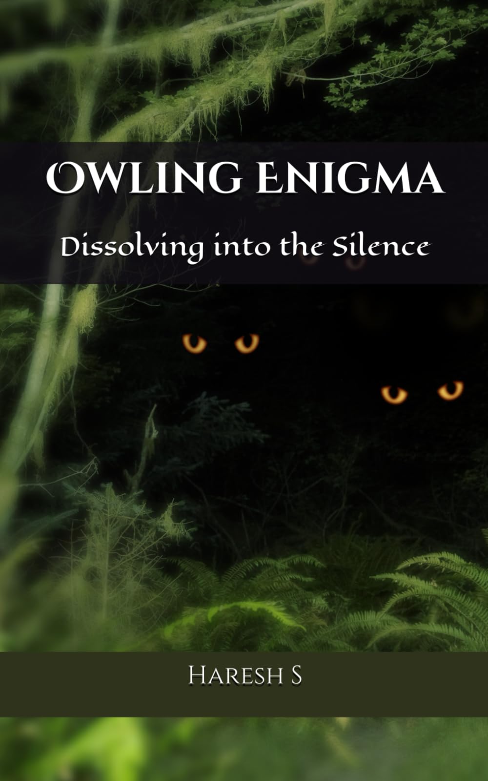 Owling Enigma: Dissolving into the Silence