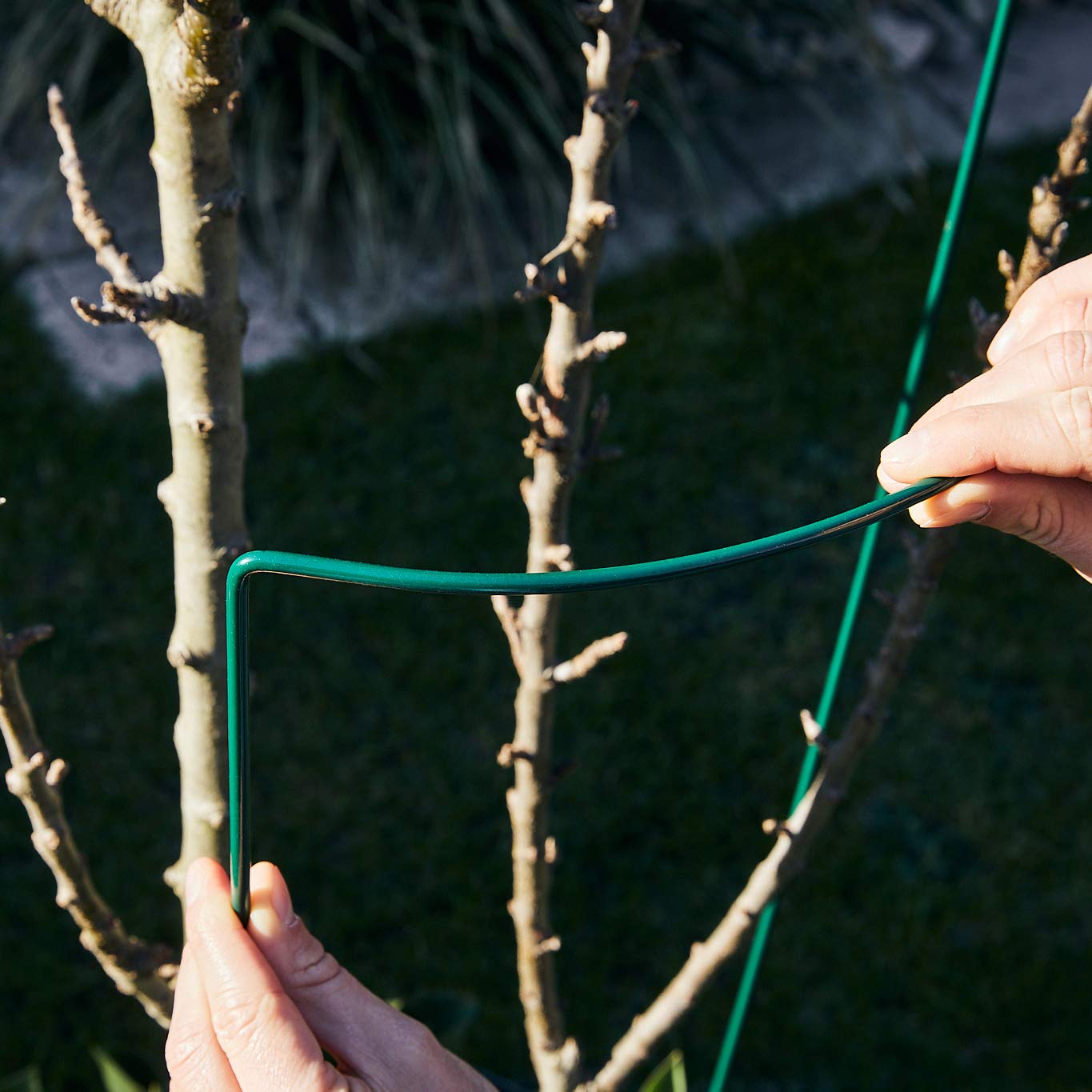 GardenGloss Podpórki Do Krzewów Ze Stali Powlekanej (10 Sztuk) - Uchwyt Na Byliny Półokrągłe 100 cm x 40 cm - Podpórka Pod Kwiaty Do Hortensji I Róż - Podpórka Do Roślin Ze Stali