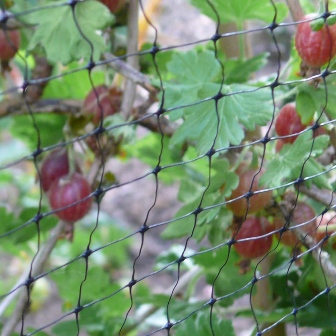 Suregreen Anti-Bird Netting | 4m X 25m | 12mm X 12mm Hole Size | Black | Bird, Pest & Animal Barrier | Extra Strong, Reusable & Durable Garden & Crop