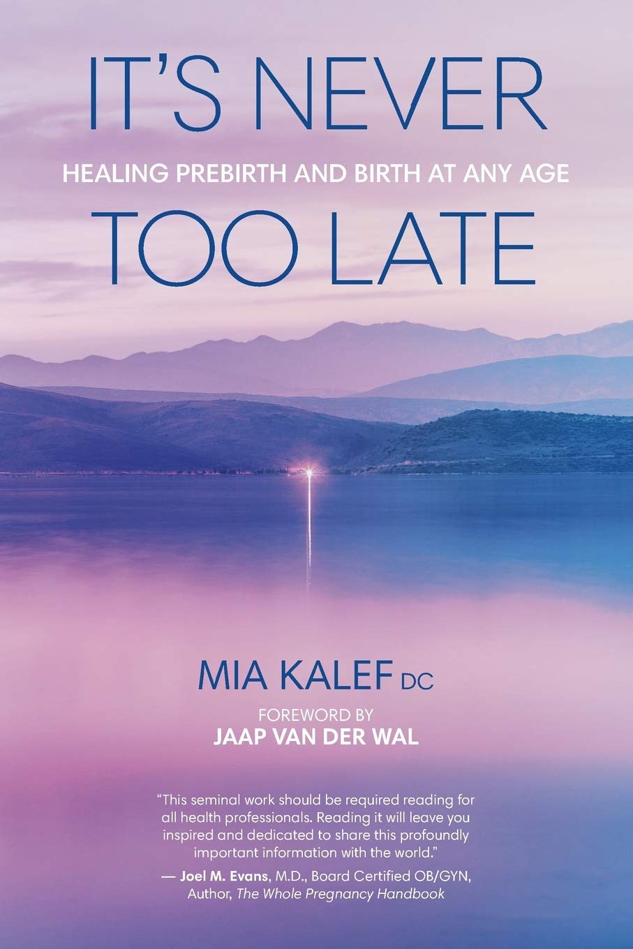 It's Never Too Late: Healing Prebirth And Birth At Any Age