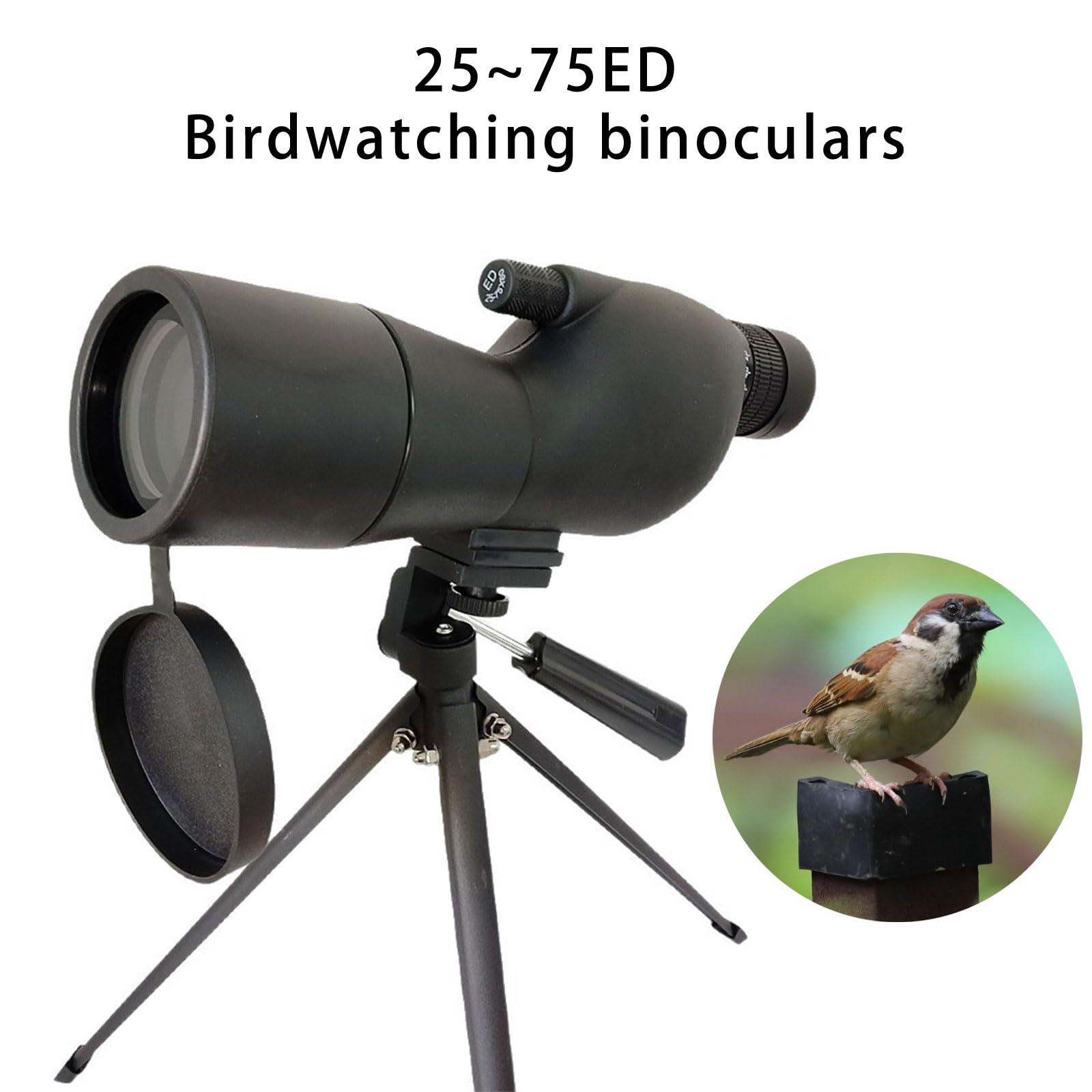 Broad View - Dispositivo de observación de vidrio mejorado de 25 a 75 x 60 mm, ideal para observación de aves y estudio de la naturaleza, detección extendida