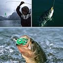 WildCard India Hollow Frog Lure Snakehead Lures Topwater Fishing Bait Soft Bass Crankbait gallery image