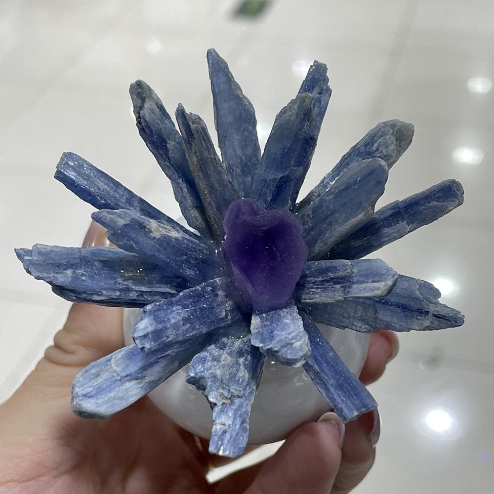 Amazon.com: Natural Kyanite Crystal Strip Cluster Ceramic Storage