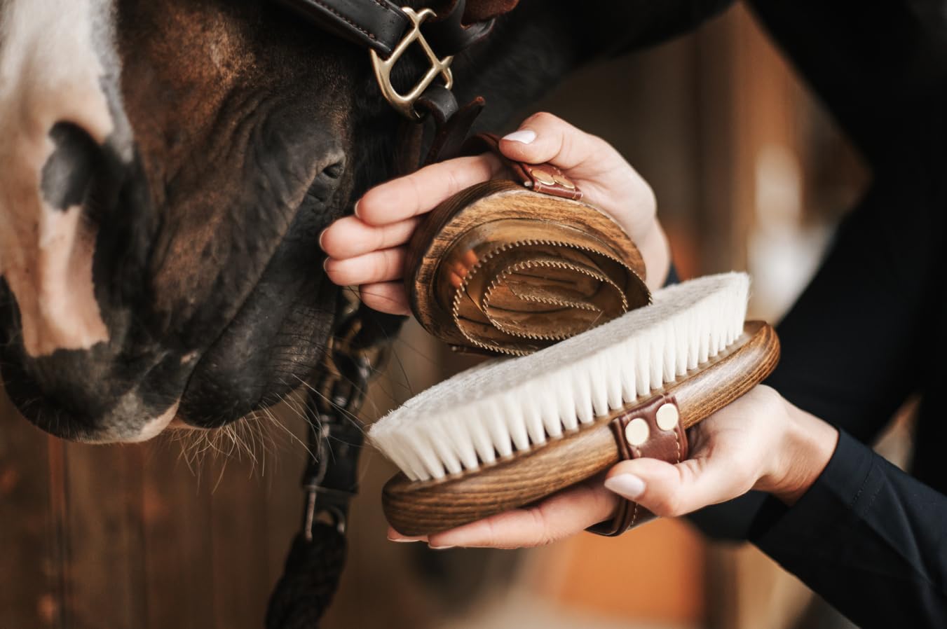 Striglia in metallo – denti in ottone e manico in legno ergonomico | Rimuove sporco ostinato e incrostazioni | Cura profonda del manto | Accessorio durevole per cavalli
