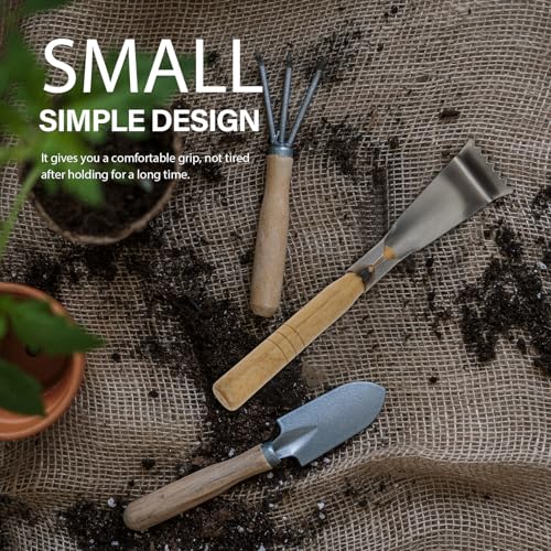 Herramientas de jardín acero inox 2 pcs con rastrillo miniatura 4