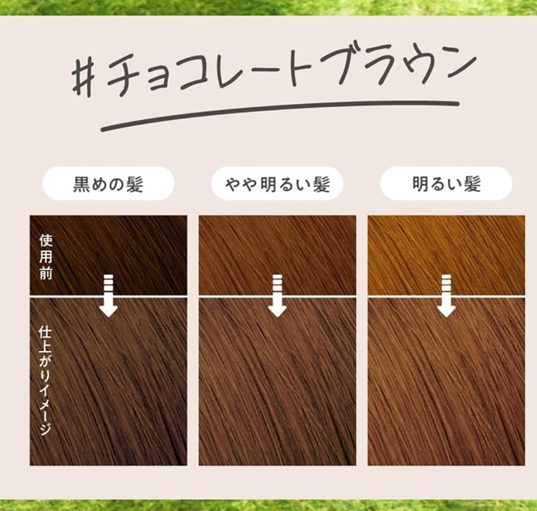 Bubble Hair Color - Chocolate Brown for Black Hair by Liese