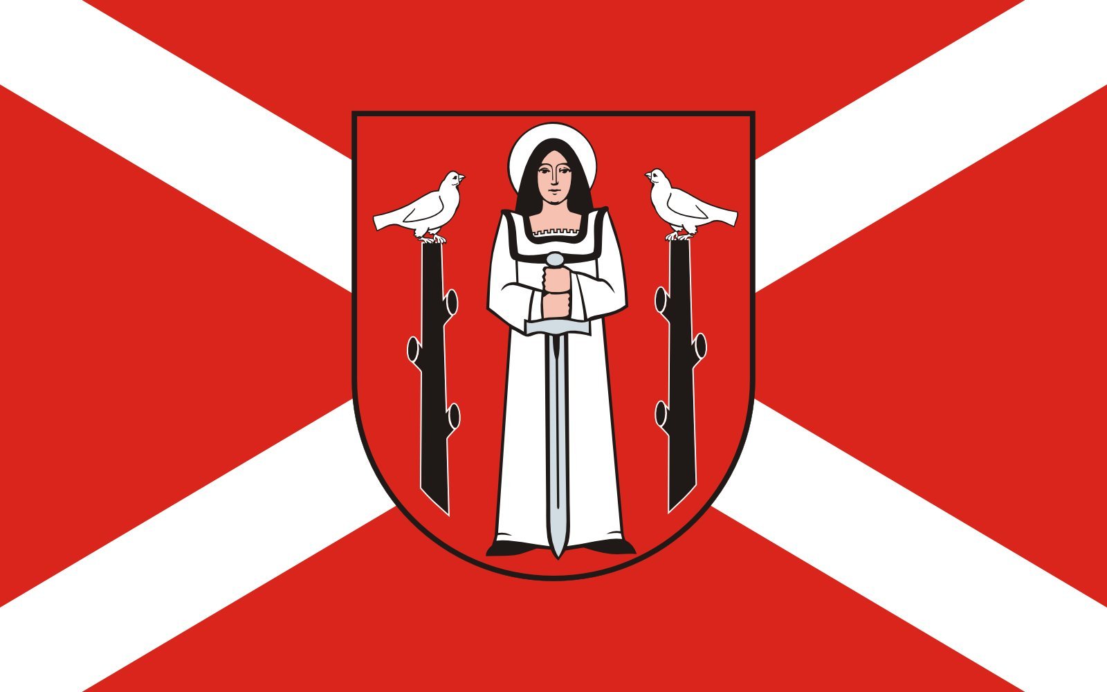 Drapeau large POL Golub-Dobrzy paysage 1.35m² anti-effilochage pour vent fort