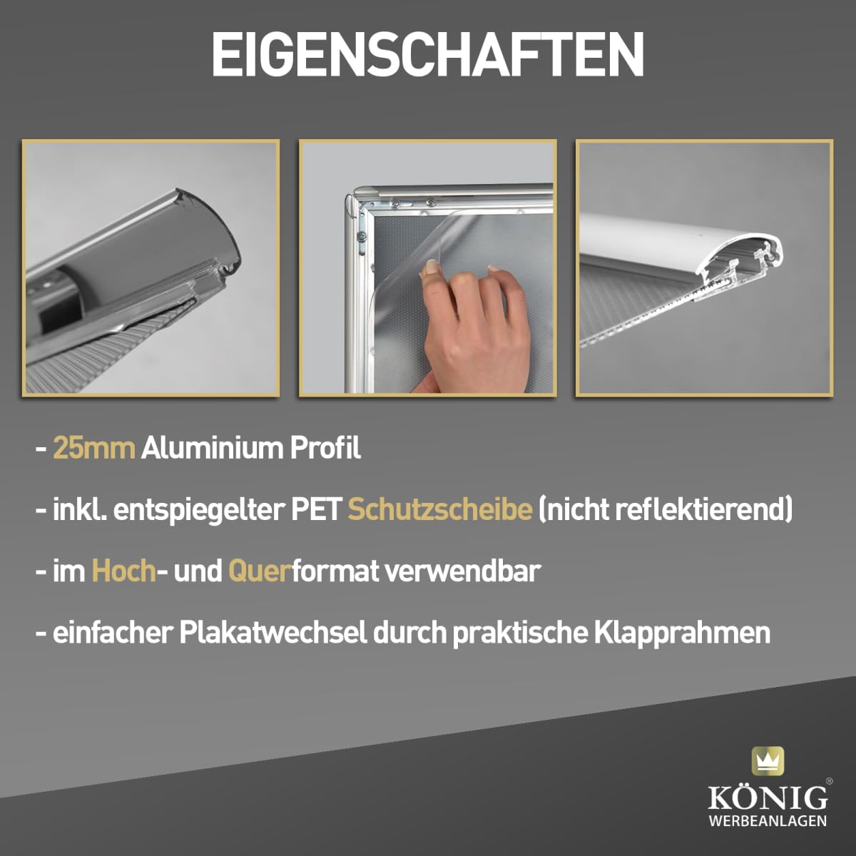 Dreifke 10 Plakatrahmen DIN A4 | 25mm Aluminium Profil, silber | inkl. entspiegelter Schutzscheibe | Alu Klapprahmen Wechselrahmen Posterrahmen | 10er Sparpack