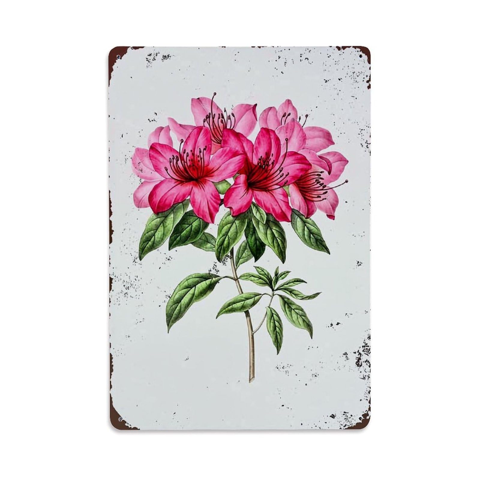 Jdfenggu Vintage Pink Floral Botanical Illustration Print Retro Metal Tin Sign, Metal Poster For Bar, Home, Man Cave, Kitchen, Laundry Room Art Decor 8X12 Inch