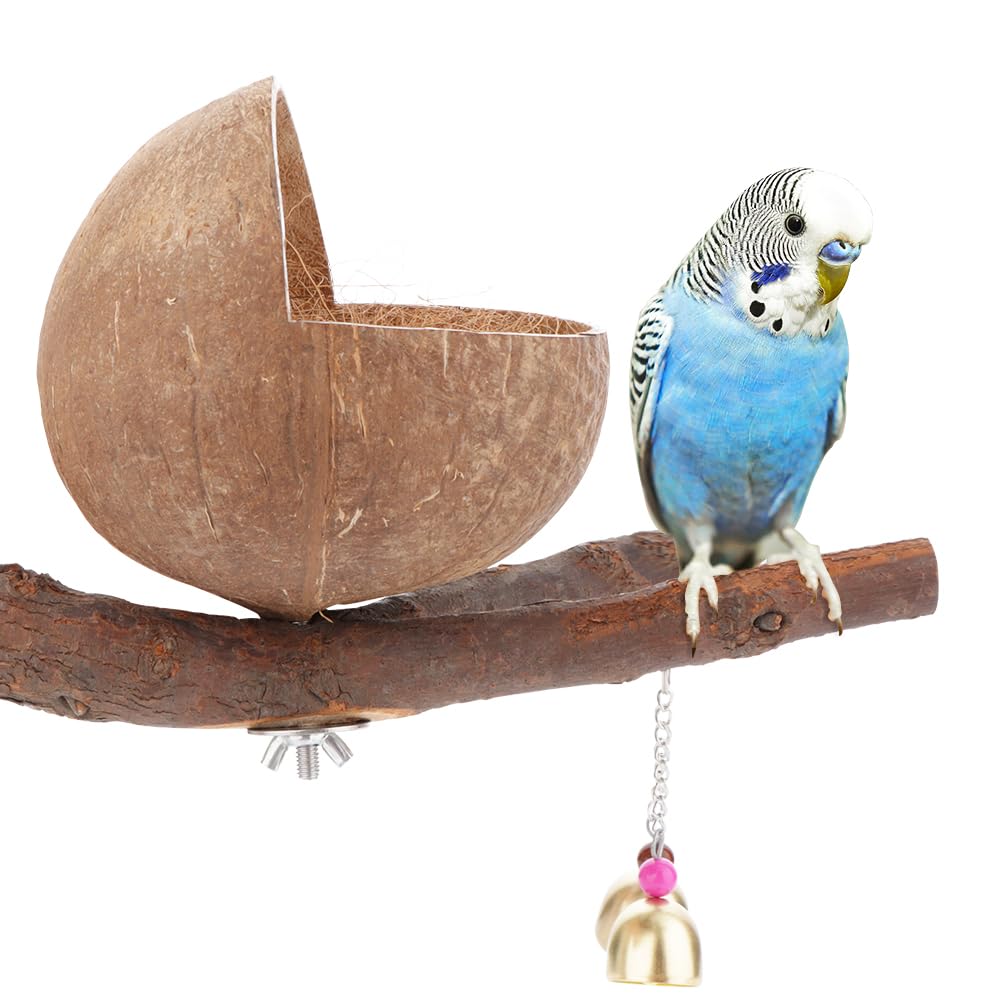 VTurboWay Nid d'oiseau en coquille de noix de coco naturelle avec tapis de noix de coco - Maison d'élevage avec perchoir clochette - Maison pour petits oiseaux, perroquets, calopsittes, conures,
