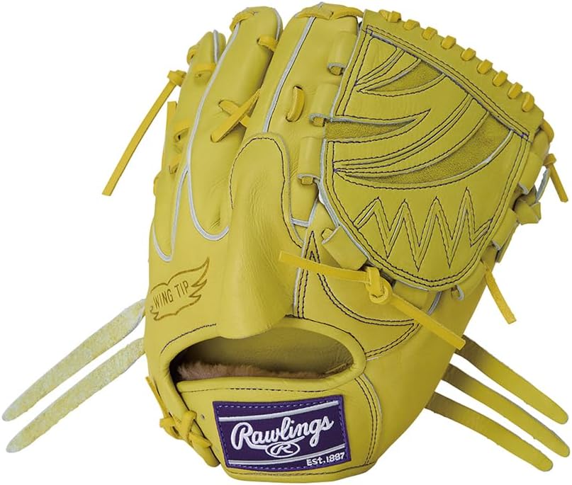 Rawlings 軟式グローブ 黒 田中賢介モデル 田中 賢介 | ADVISORY STAFF