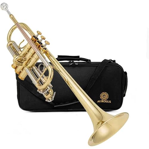cc820 c trumpet stainless steel valves 124mm brass bell gold brass lead pipe nickel silver slides clear lacquer finish 7c mouthpiece case backpack strap intermediate students