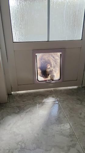 Sportello per Gatti Porta per Gatti e Cani 4 vie chiusura per porta per