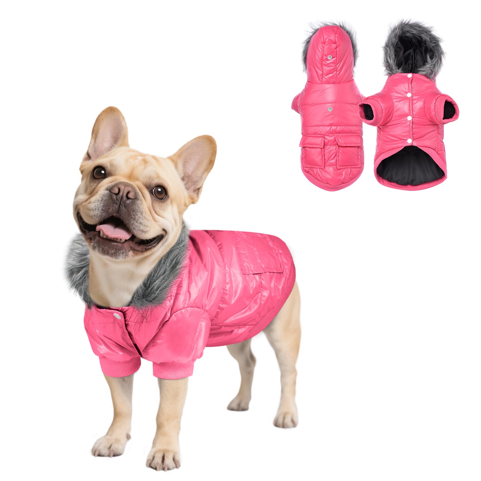 Manteau d'hiver rose pour petit chien taille XXL imperméable